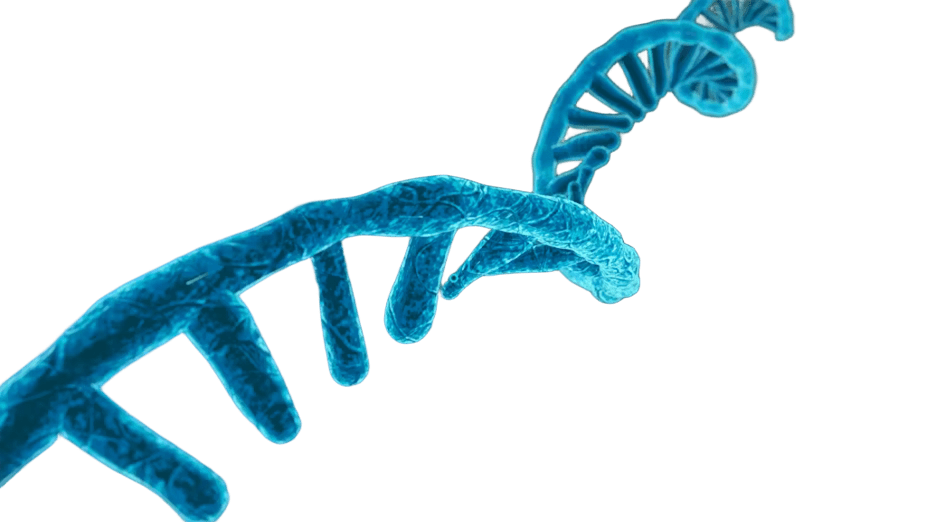 Base-Resolution RNA