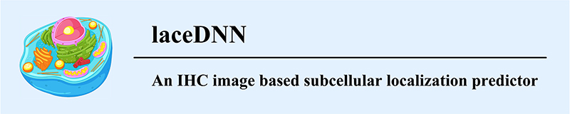 laceDNN logo